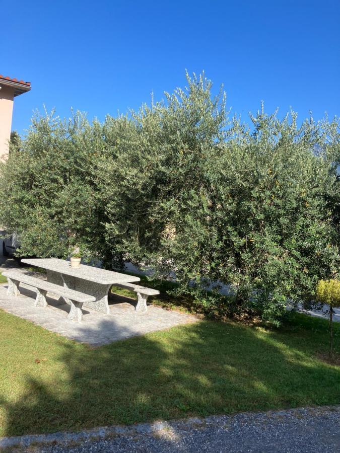 Contone Residenza Giovanni מראה חיצוני תמונה